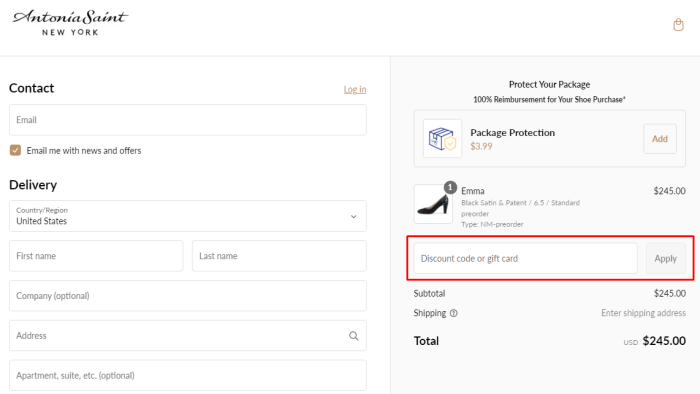 How to use Antonia Saint NY promo code