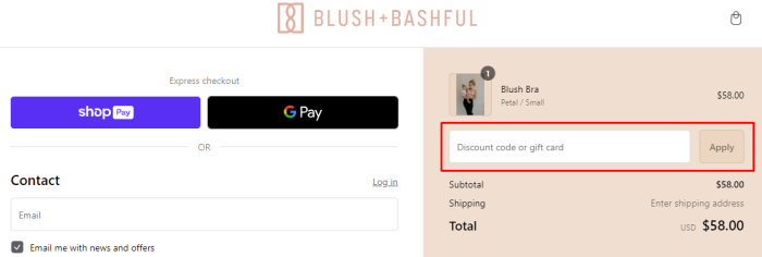 How to use Blush + Bashful promo code