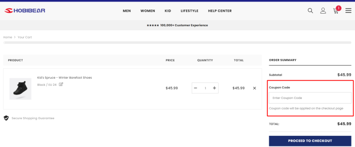 How to use Hobibear promo code