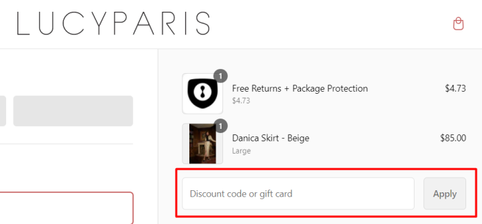 How to use Lucy Paris promo code