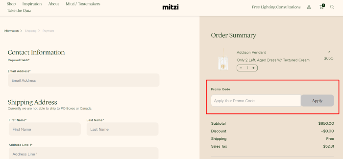 How to use Mitzi promo code