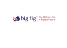 Big Fig Mattress logo