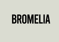 Bromelia Swimwear promo codes