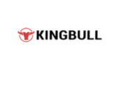 Kingbullbike