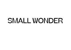 Small Wonder promo codes