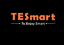 TESmart logo