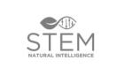 STEM logo