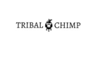 Tribal Chimp logo